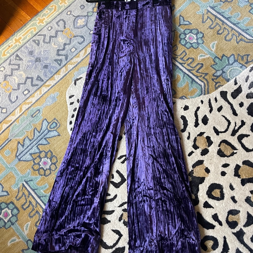 Purple Velvet Women's Pants